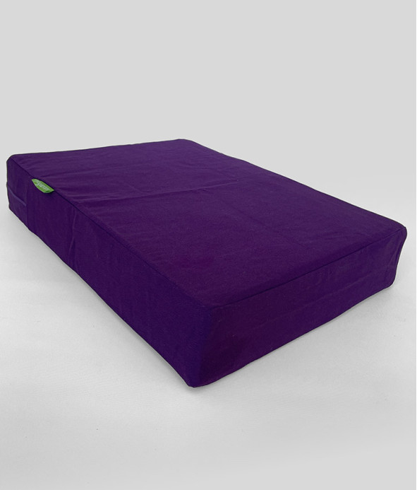 Purple Cushion