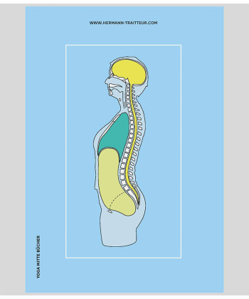 Yoga Asana Physiology Back