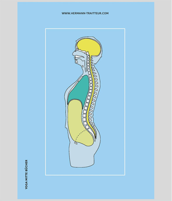 Yoga Asana Physiology Back