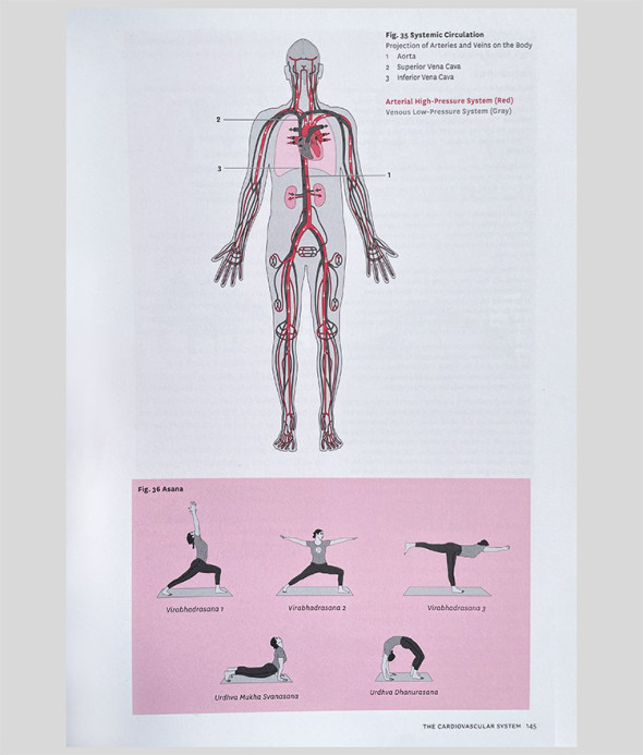 Yoga Asana Physiology Inside 1