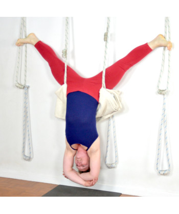 2 Yoga Wall Ropes - pair of long or short
