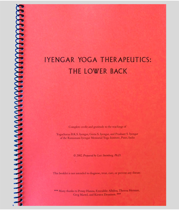 Iyengar Yoga Therapeutics: Lower Back